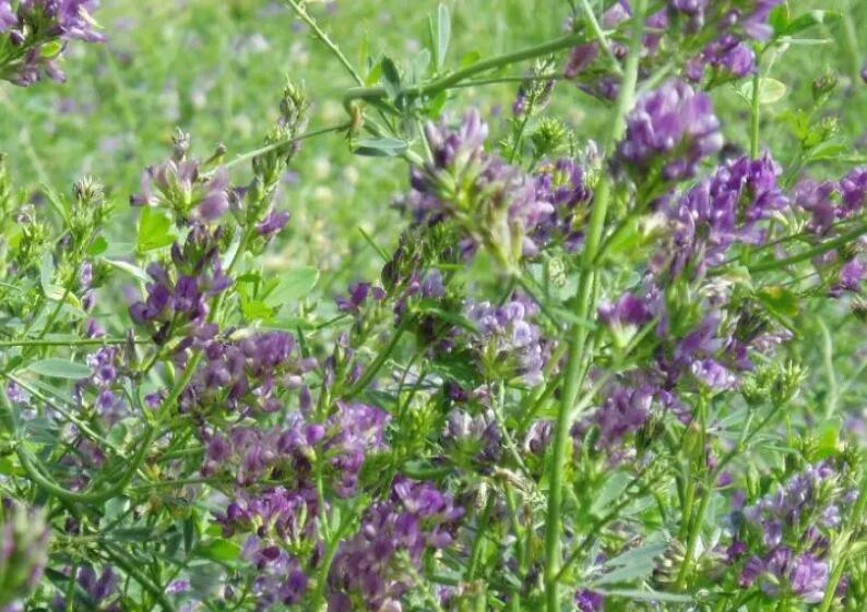 1652276035195009.jpg 2.jpg