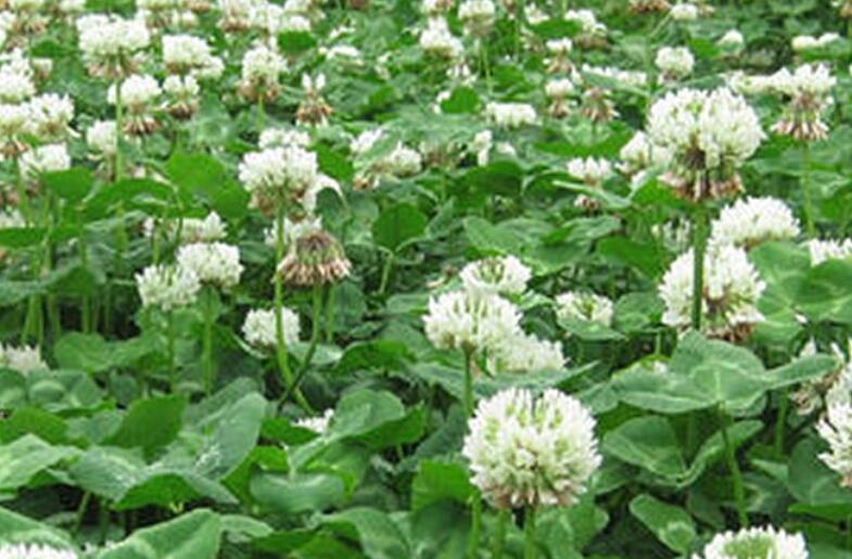 1652968958430615.jpg 2.jpg