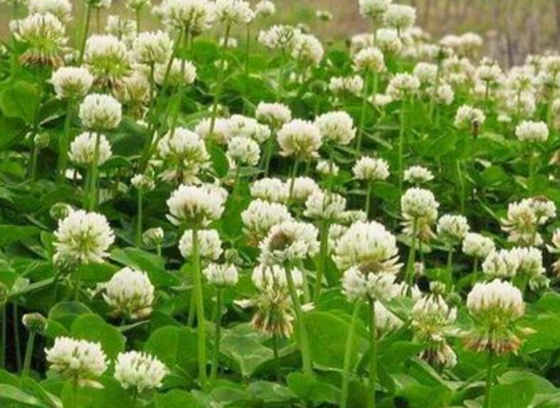 1652968965503440.jpg 3.jpg