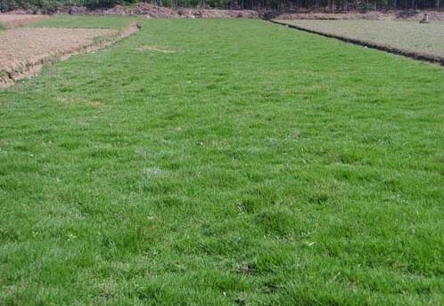 1653616332704821.jpg 1653616332704821.jpg