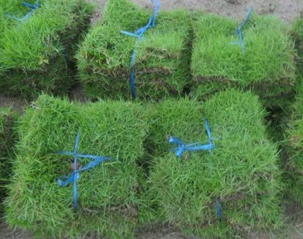 1653616391785317.jpg 1653616391785317.jpg