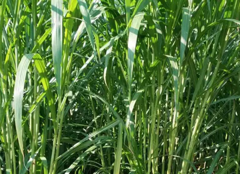 1653718884671175.jpg 3.jpg