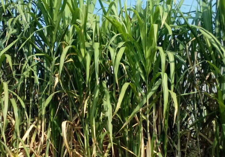 1654522752106867.jpg 2.jpg