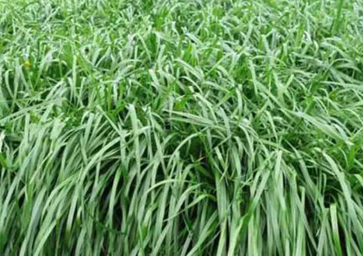 1654783915265165.jpg 3.jpg