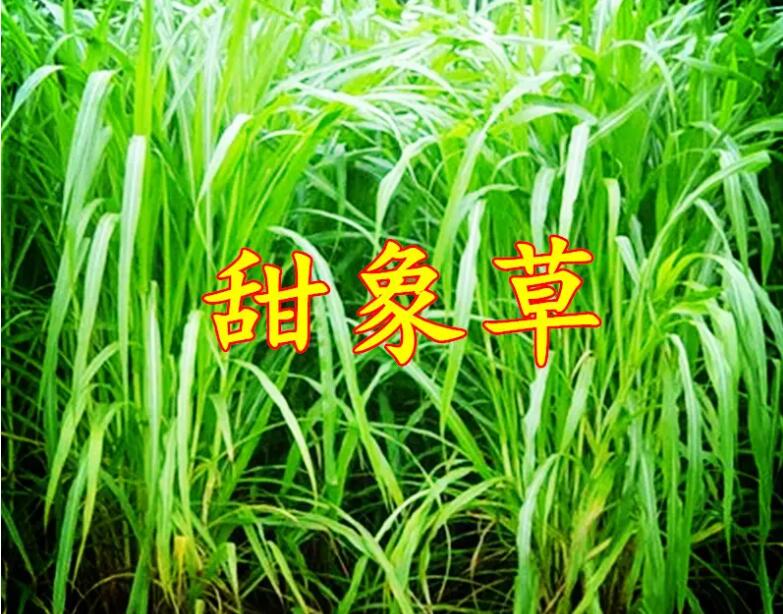 1657100337340506.jpg 1657100337340506.jpg