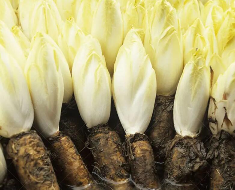 1657100895623927.jpg 1657100895623927.jpg