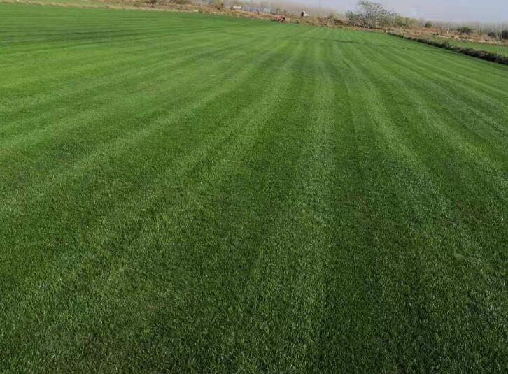 1657109260605898.jpg 1657109260605898.jpg