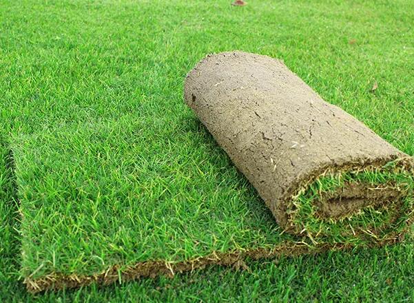 1657149898354848.jpg 1657149898354848.jpg