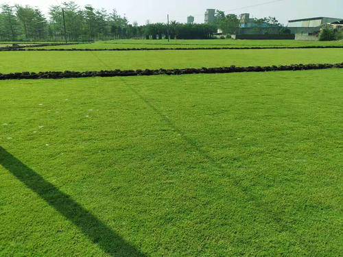 1657156470153457.jpg 1657156470153457.jpg