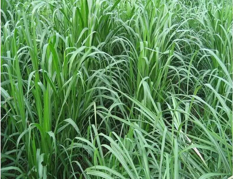 1657279703773477.jpg 1657279703773477.jpg