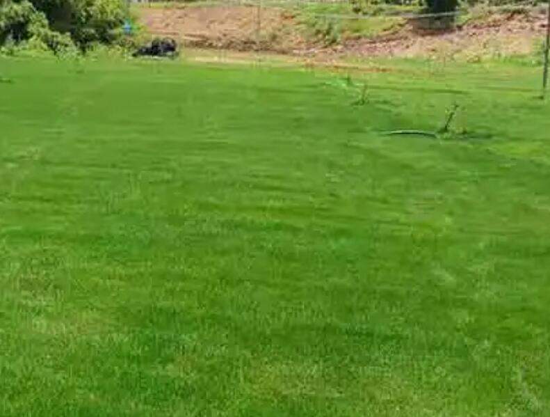 1657370685764086.jpg 3.jpg