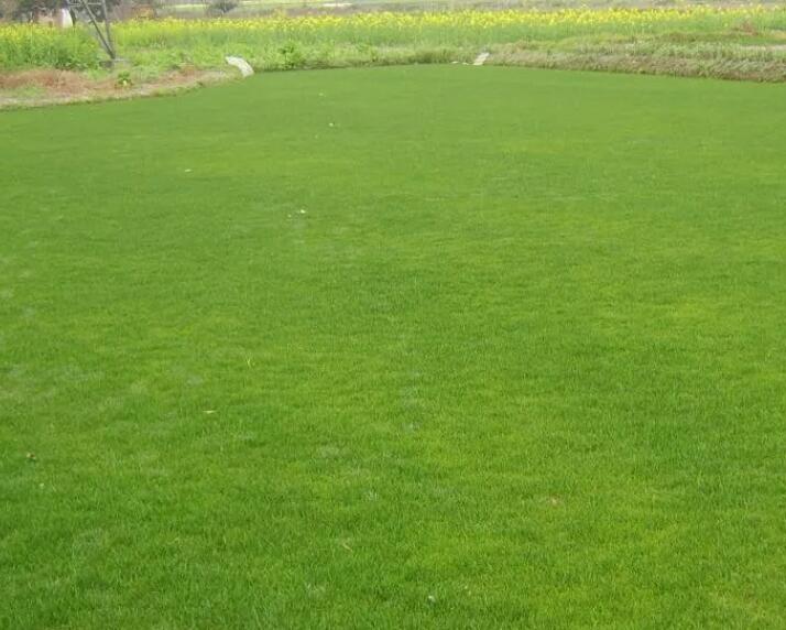 1657542479605469.jpg 2.jpg