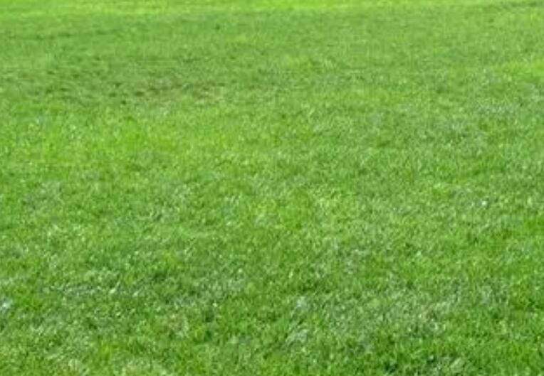 1657543005952262.jpg 1.jpg