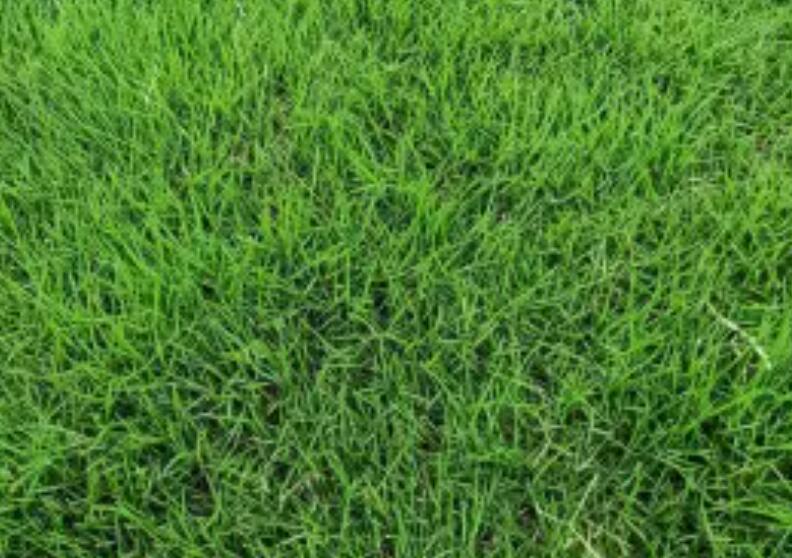 1657543013697745.jpg 2.jpg