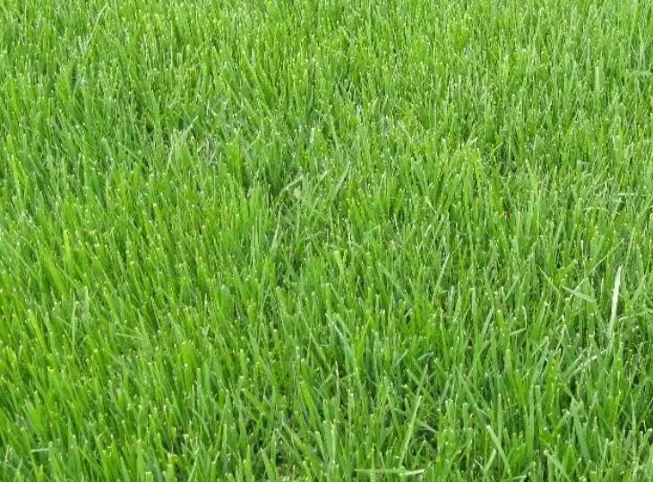 1657543646910336.jpg 1.jpg