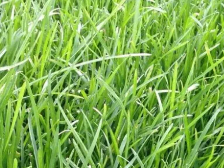 1657543654661658.jpg 2.jpg