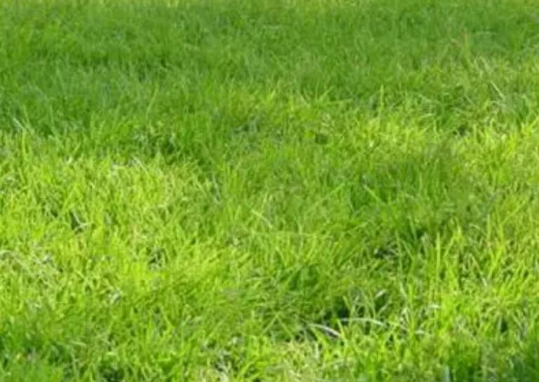 1657543708214311.jpg 3.jpg