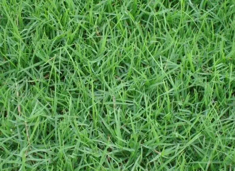 1657544358536837.jpg 2.jpg