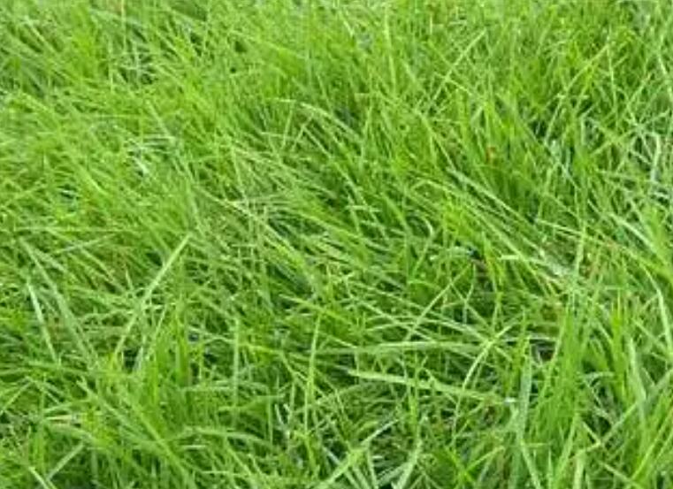 1657544366914706.jpg 3.jpg