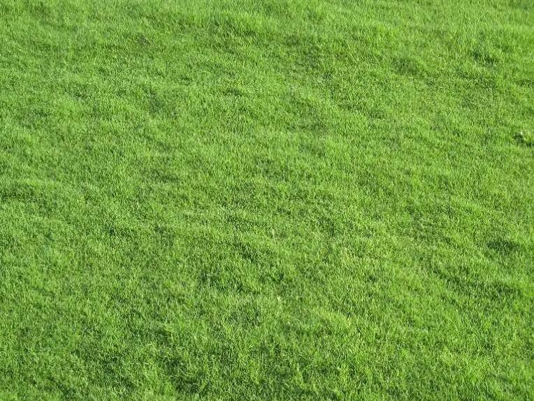 1657625876816881.jpg 1.jpg