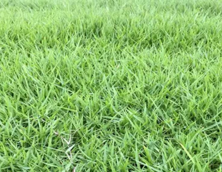 1657625885526974.jpg 2.jpg