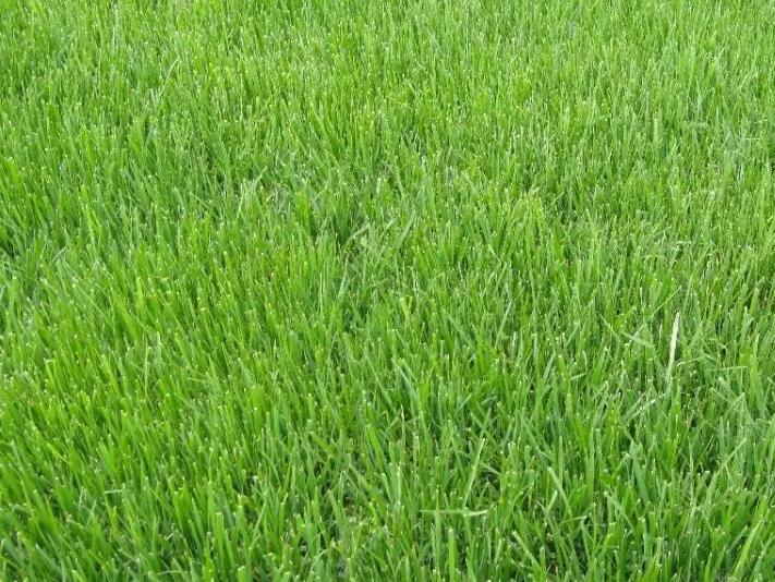 1657625893417570.jpg 3.jpg