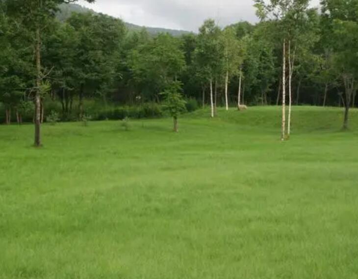 1657626314420285.jpg 3.jpg