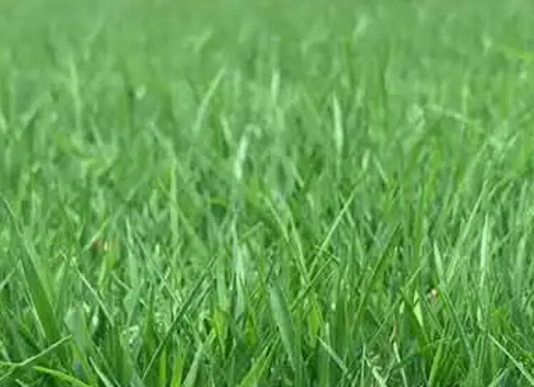 1657626962152632.jpg 3.jpg