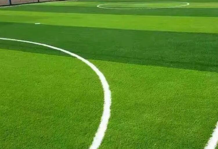 1657627418310856.jpg 1.jpg