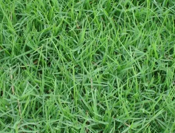 1657630407304394.jpg 2.jpg