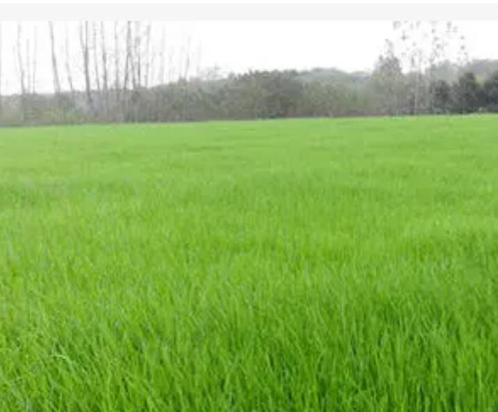 1657630417168564.jpg 3.jpg