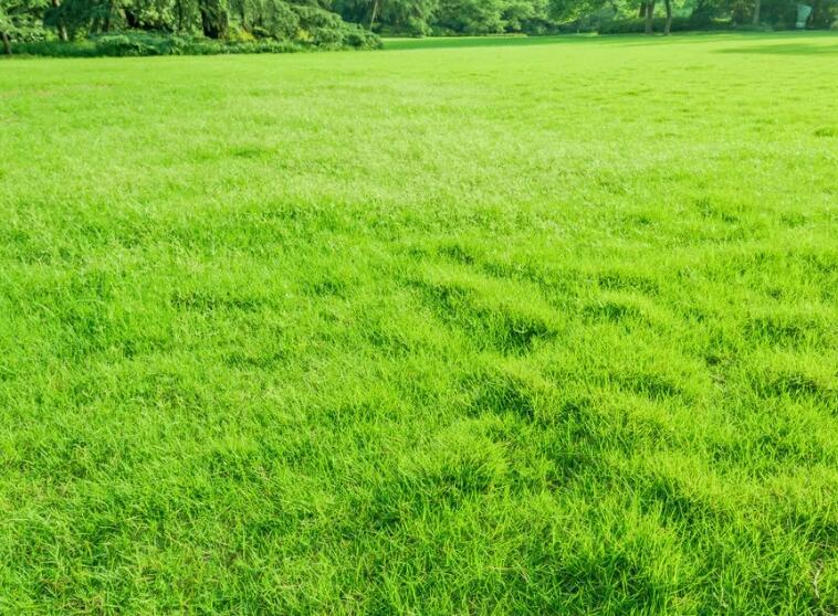 1657891221624078.jpg 1.jpg