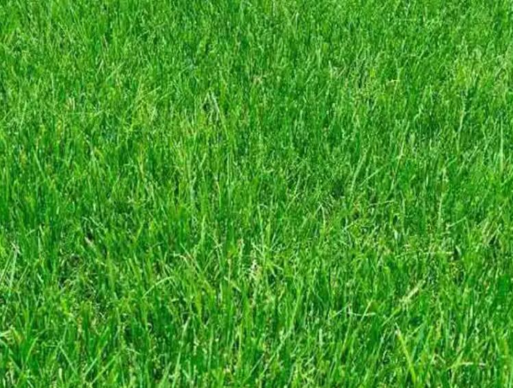 1657891229694673.jpg 2.jpg