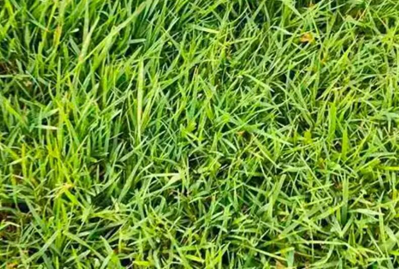 1657891833278207.jpg 1.jpg