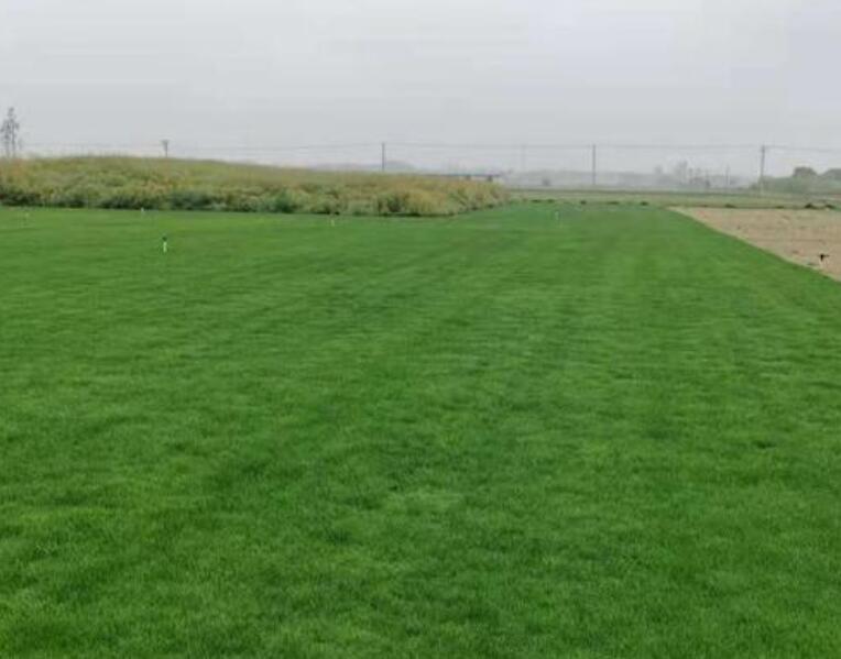 1657891841135023.jpg 2.jpg