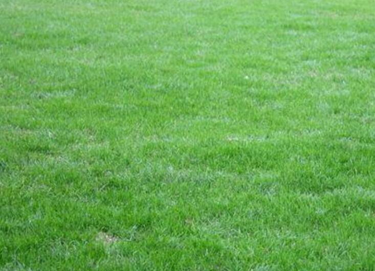 1657891851975254.jpg 3.jpg