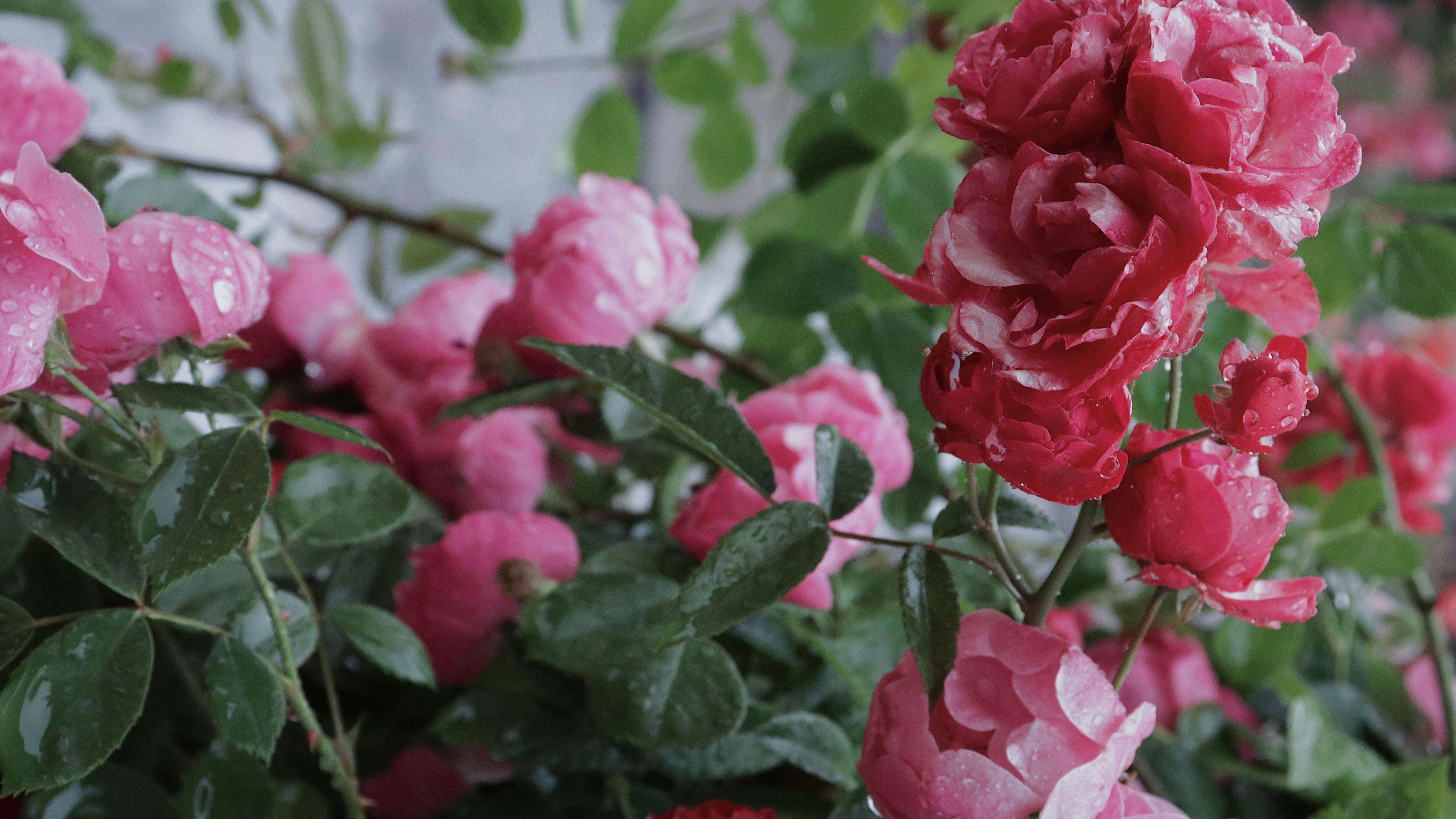 1658407987985205.jpeg 1658407987985205.jpeg