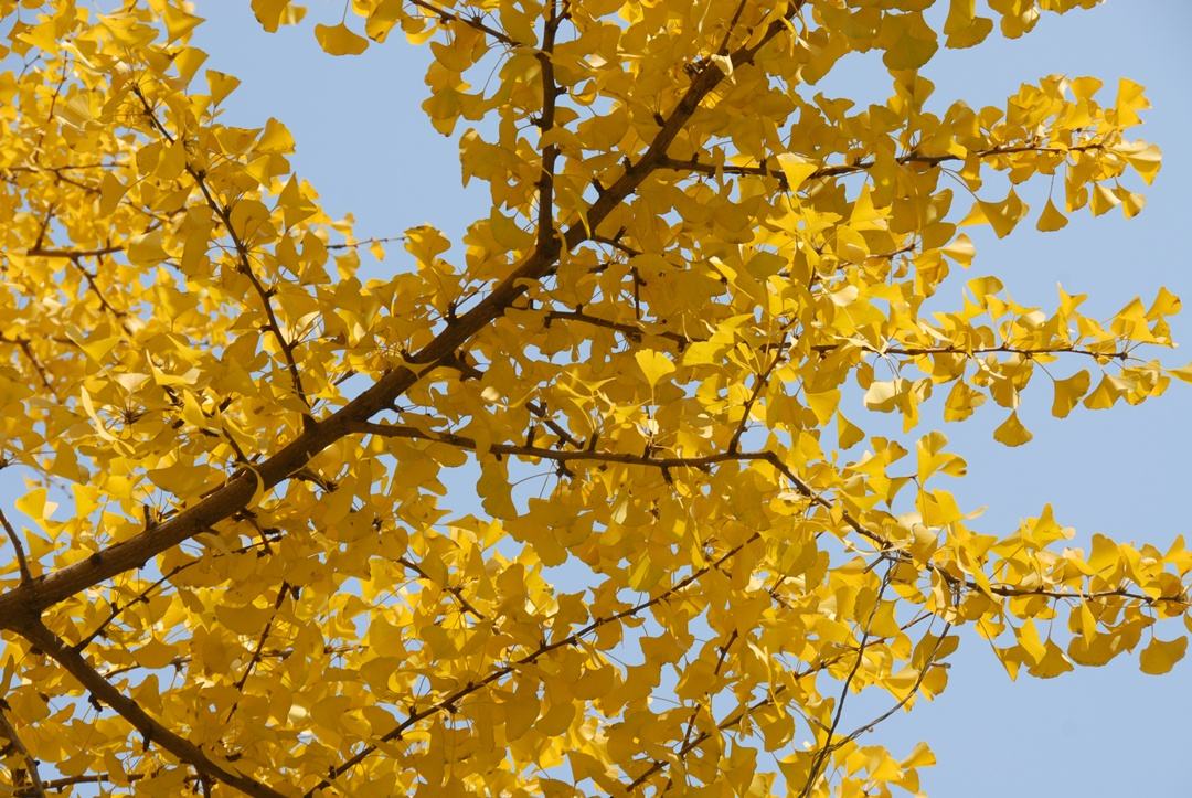 1658572155553395.jpeg 1658572155553395.jpeg