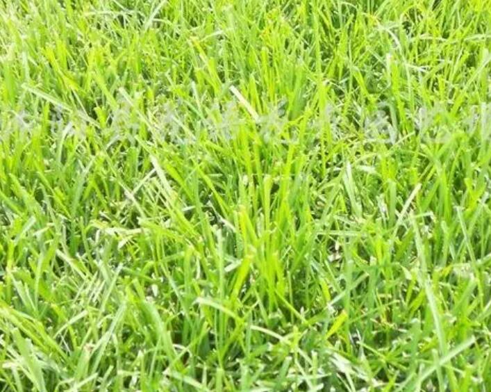 1658839941644241.jpg 1.jpg