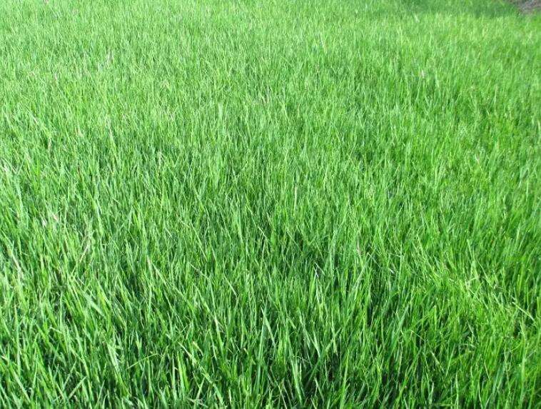 1658839951150363.jpg 2.jpg