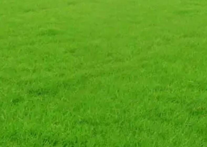 1658839961311585.jpg 3.jpg