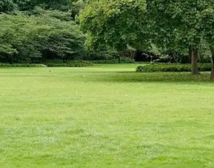 1658842028390418.jpg 1.jpg