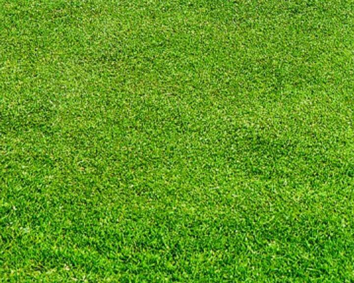 1658842049893462.jpg 3.jpg