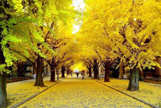 1658925864231330.jpeg 1658925864231330.jpeg