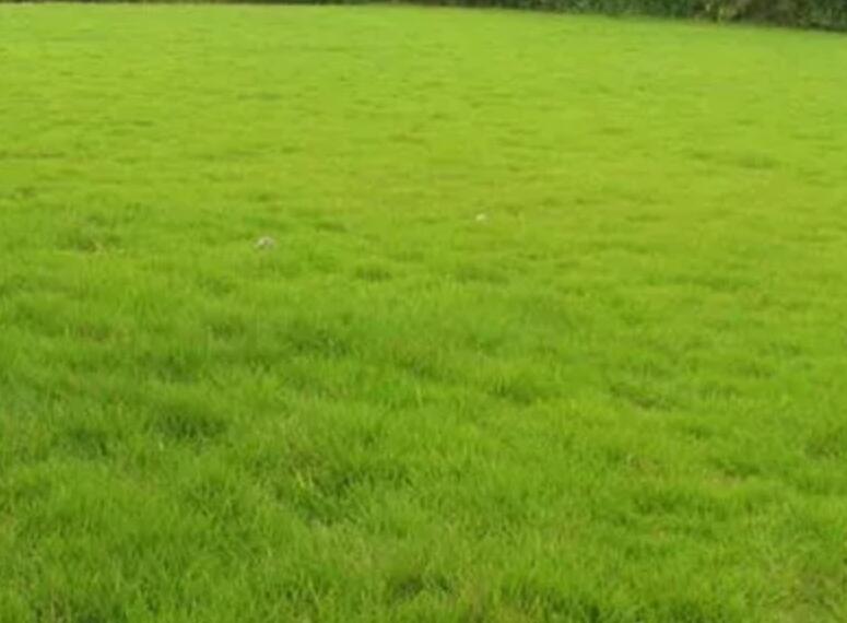 1659452787151445.jpg 3.jpg