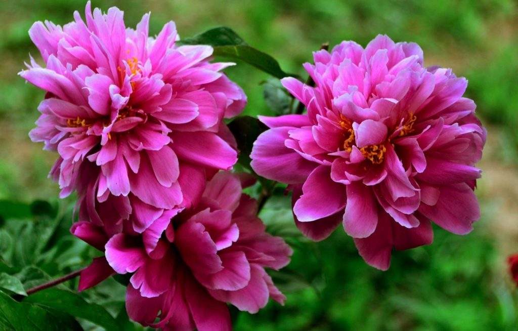 1659531455769419.jpeg 1659531455769419.jpeg