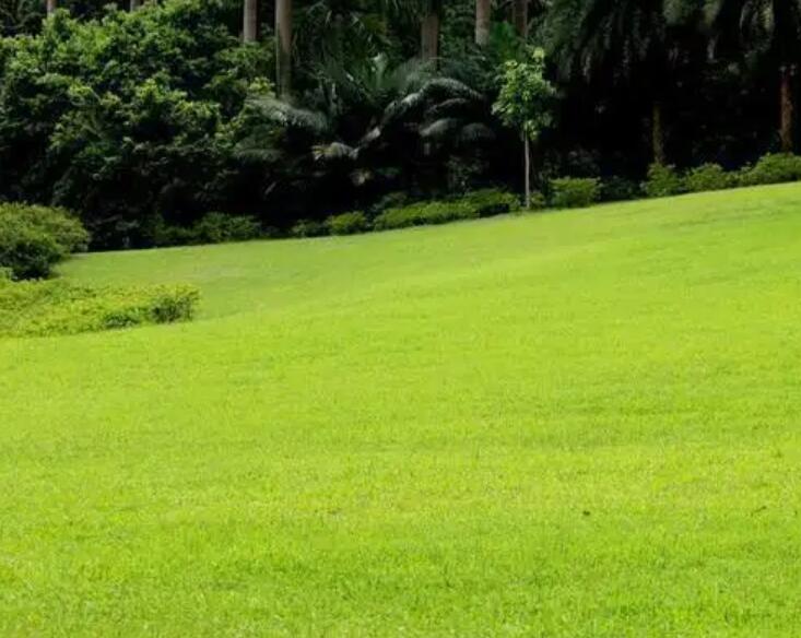 1659536379383757.jpg 1659536379383757.jpg