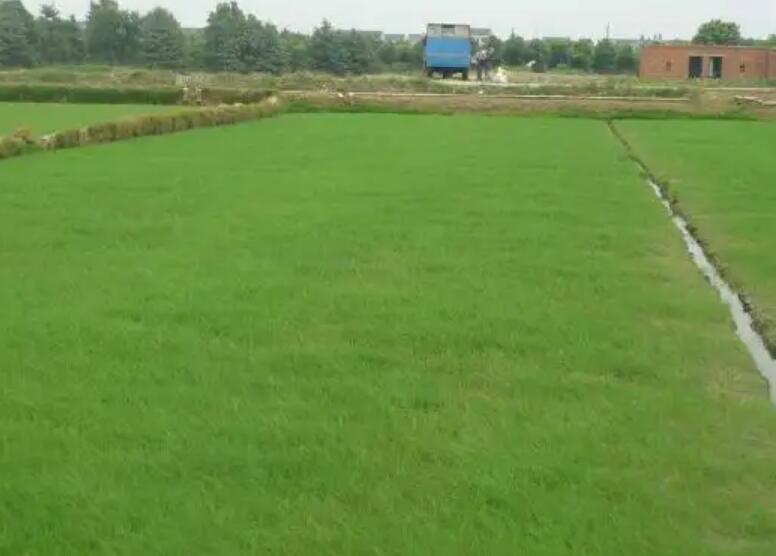 1659705515804410.jpg vvv.jpg