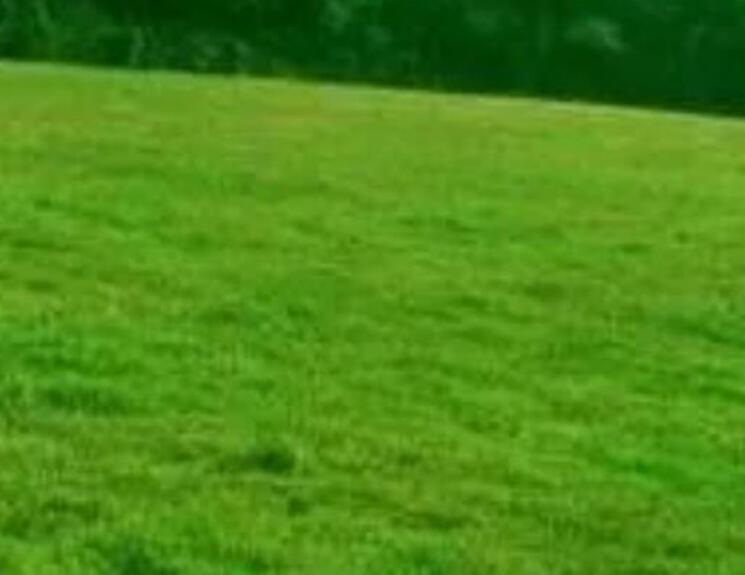 1659705631702373.jpg mmm.jpg