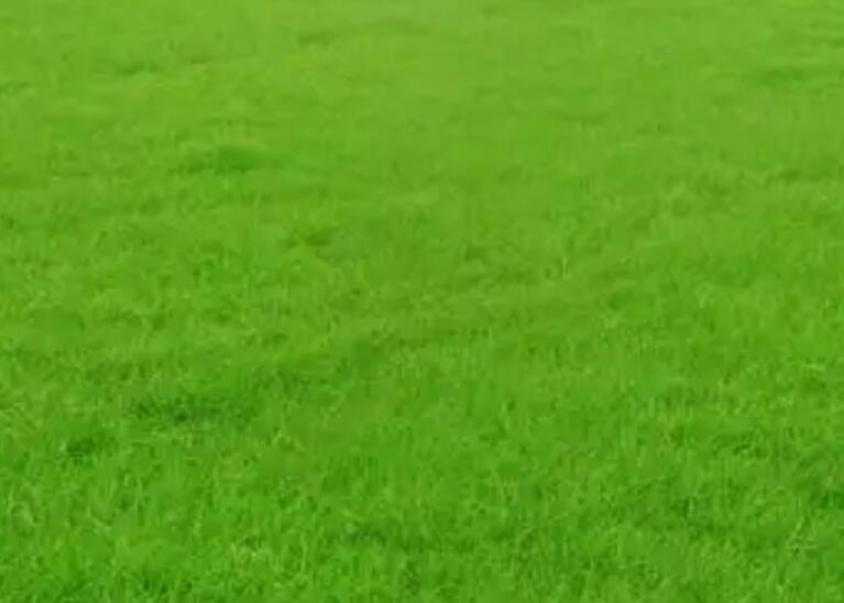 1659705835965920.jpg ggg.jpg